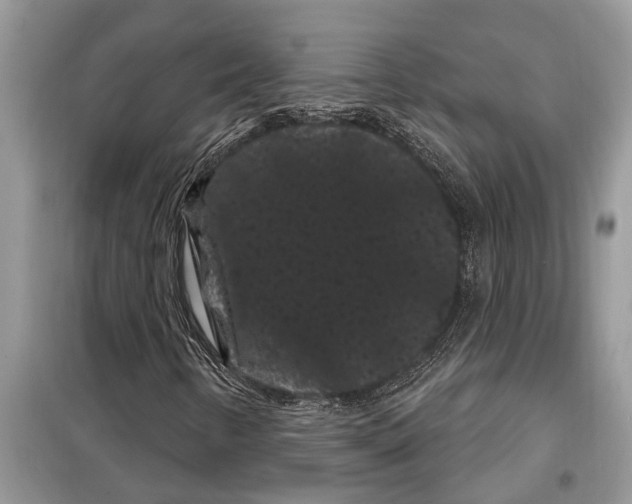 X0000097951346200804070954