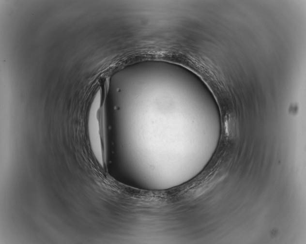 X0000097951347200804070954