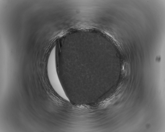 X0000097951348200804070954