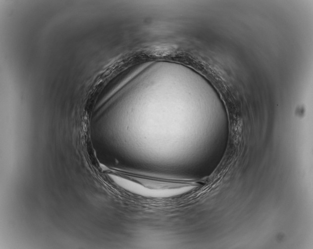 X0000097951349200804070954
