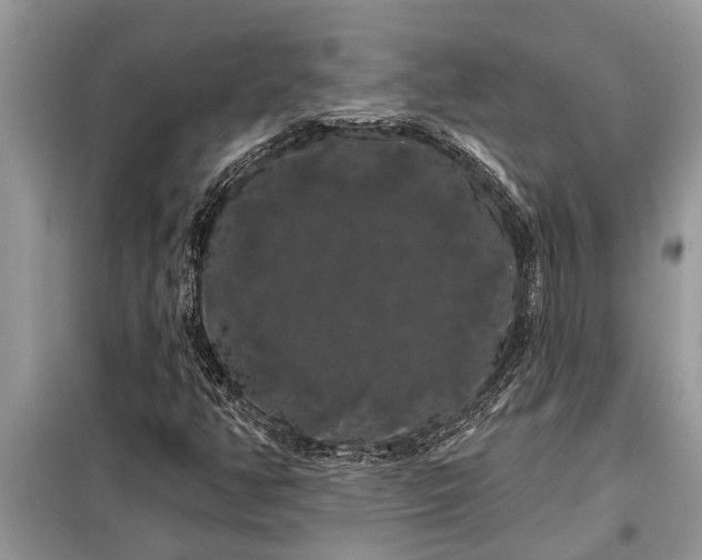 X0000097951350200804070954