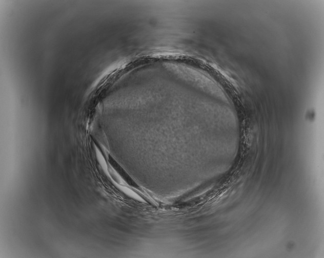 X0000097951351200804070954