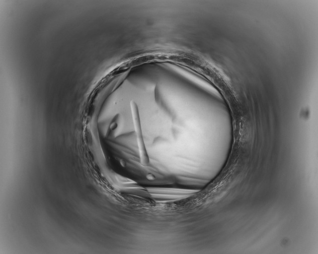 X0000097951352200804070954