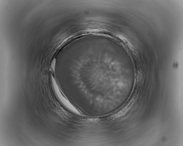 X0000097951353200804070954