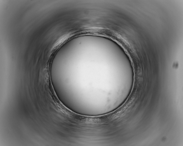X0000097951354200804070954