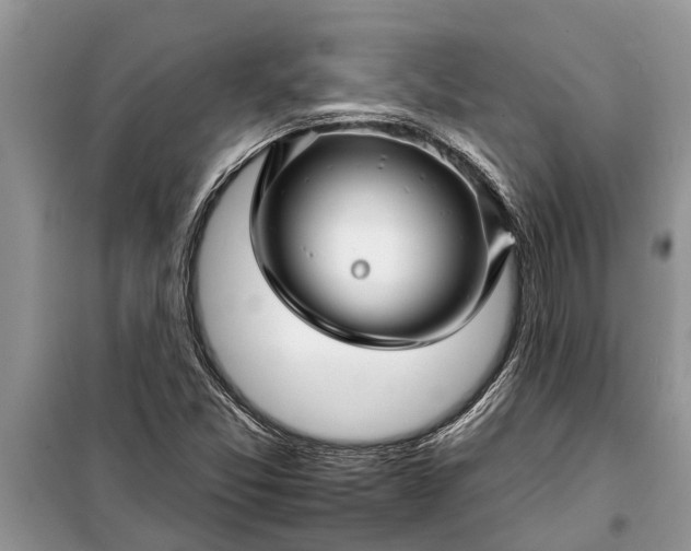 X0000097951357200804070954