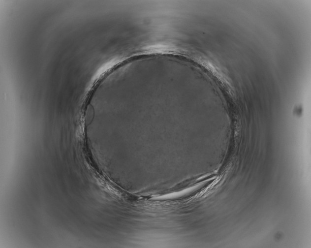 X0000097951358200804070954