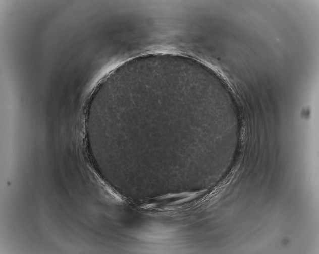 X0000097951359200804070954