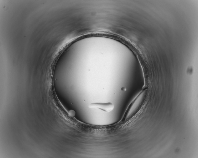 X0000097951363200804070954