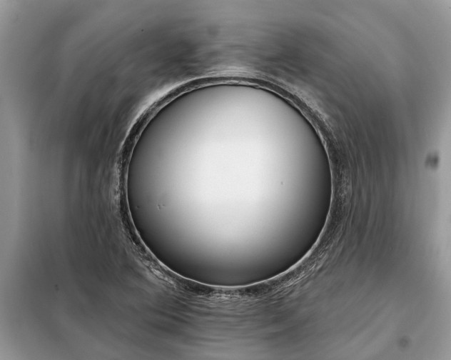 X0000097951364200804070954