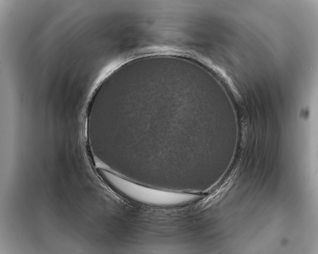 X0000097951365200804070954
