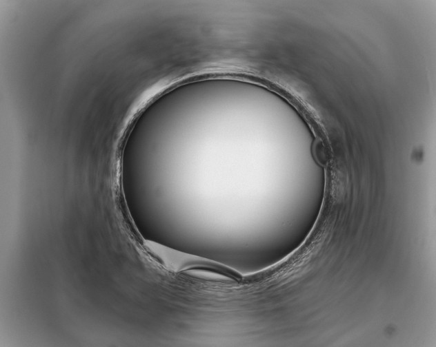 X0000097951366200804070954