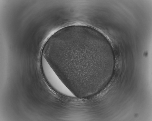 X0000097951367200804070954