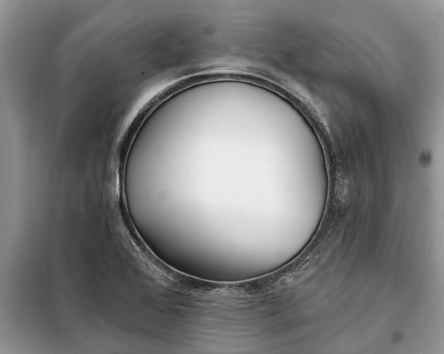 X0000097951368200804070954