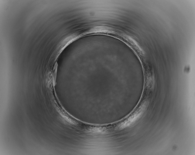 X0000097951369200804070954