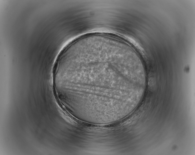 X0000097951372200804070954