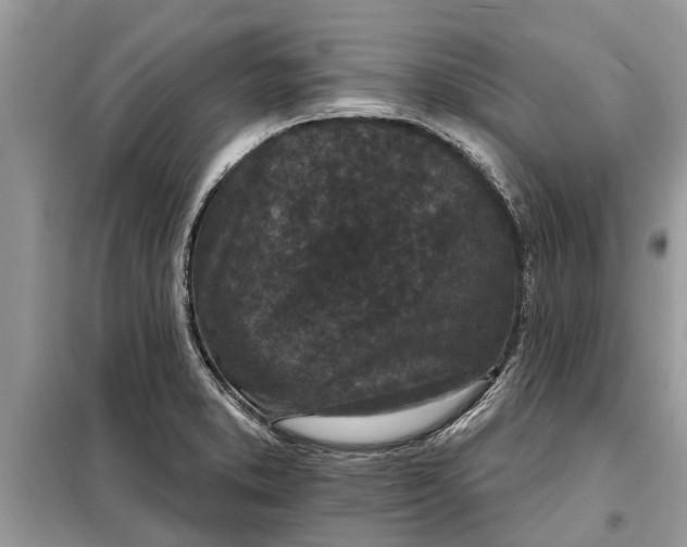 X0000097951373200804070954