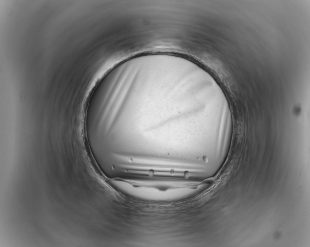 X0000097951374200804070954