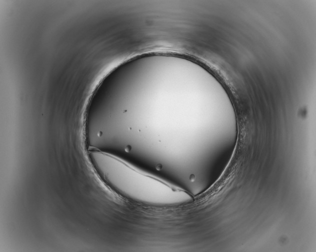 X0000097951375200804070954