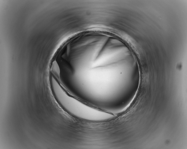 X0000097951376200804070954