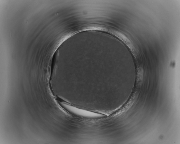 X0000097951377200804070954