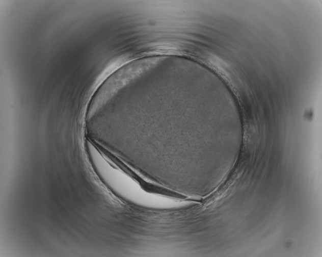 X0000097951378200804070954