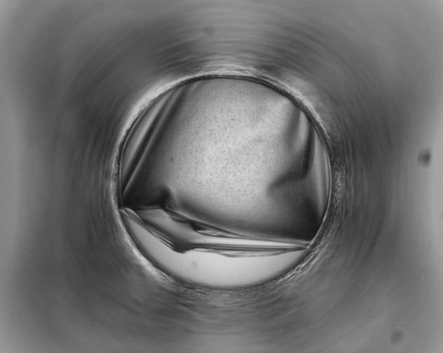 X0000097951379200804070954