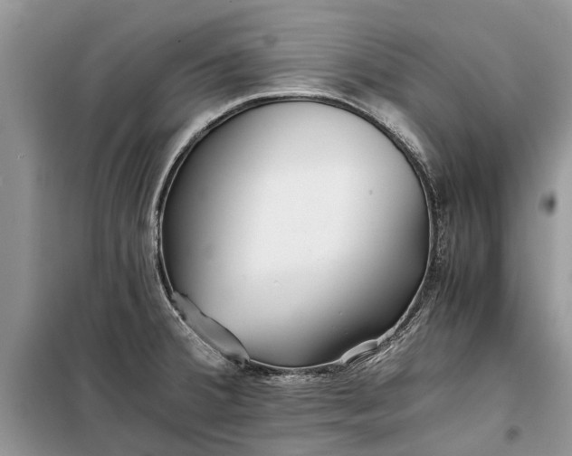 X0000097951380200804070954