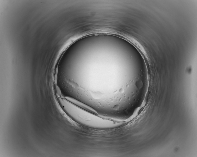 X0000097951381200804070954