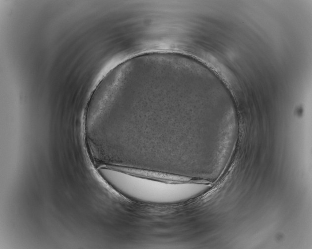 X0000097951382200804070954