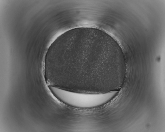 X0000097951383200804070954