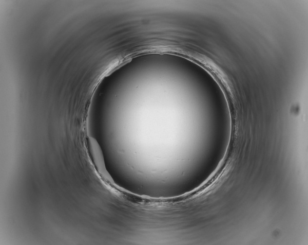 X0000097951385200804070954