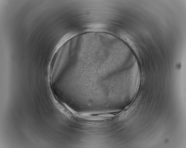 X0000097951386200804070954