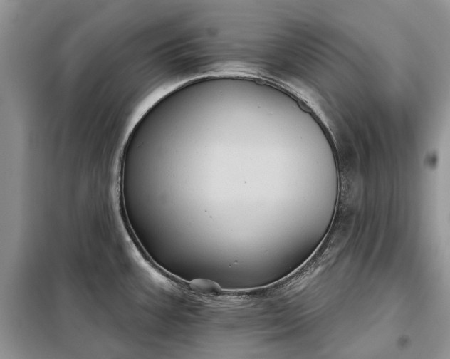 X0000097951387200804070954