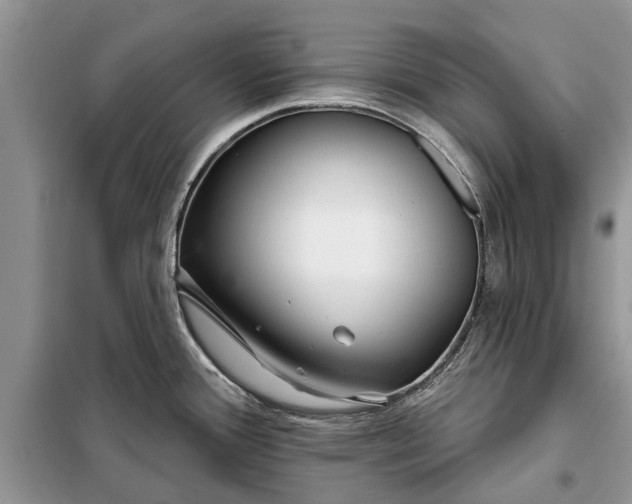 X0000097951388200804070954