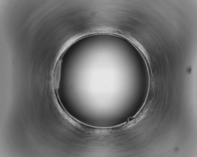 X0000097951389200804070954