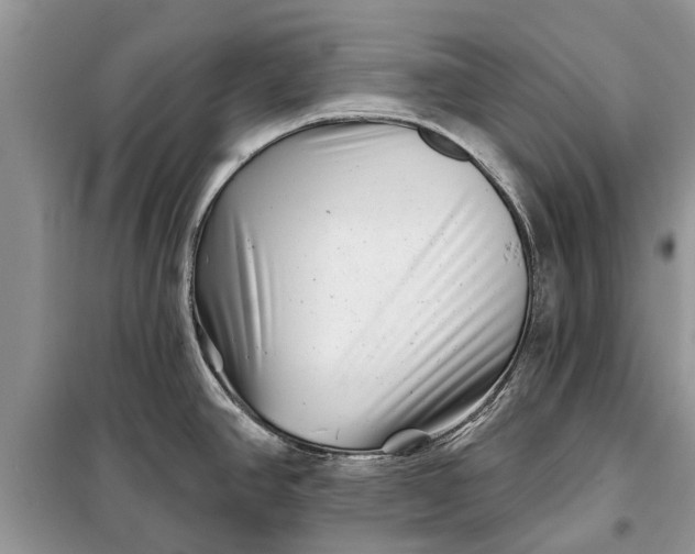 X0000097951390200804070954
