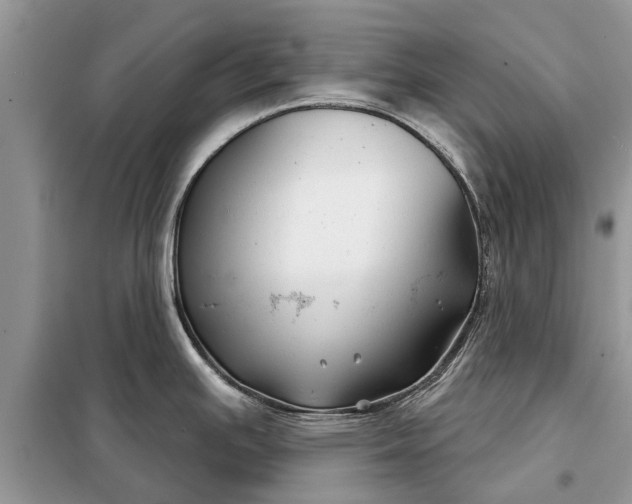 X0000097951391200804070954