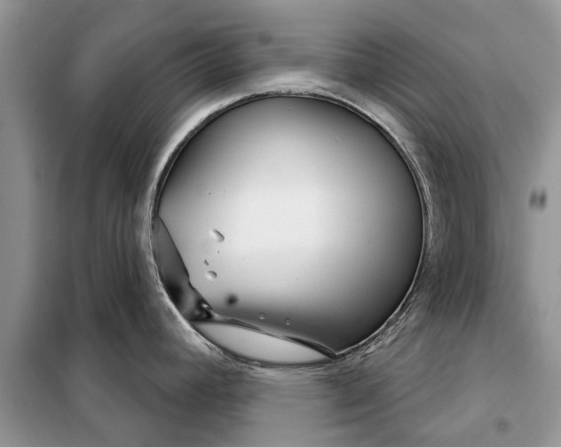 X0000097951392200804070953