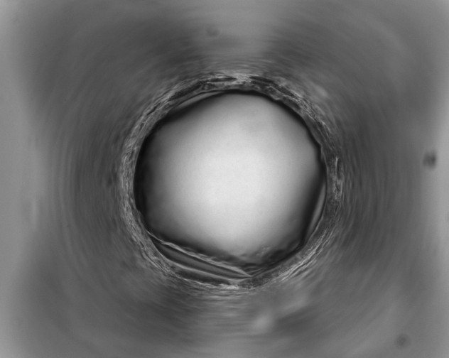 X0000097951393200804070952