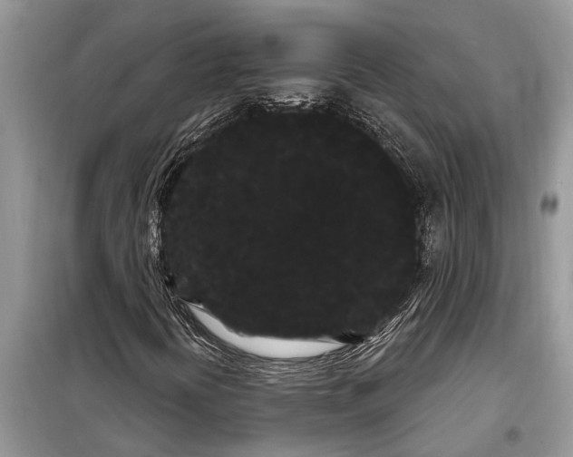 X0000097951394200804070952