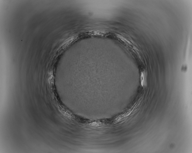 X0000097951395200804070953