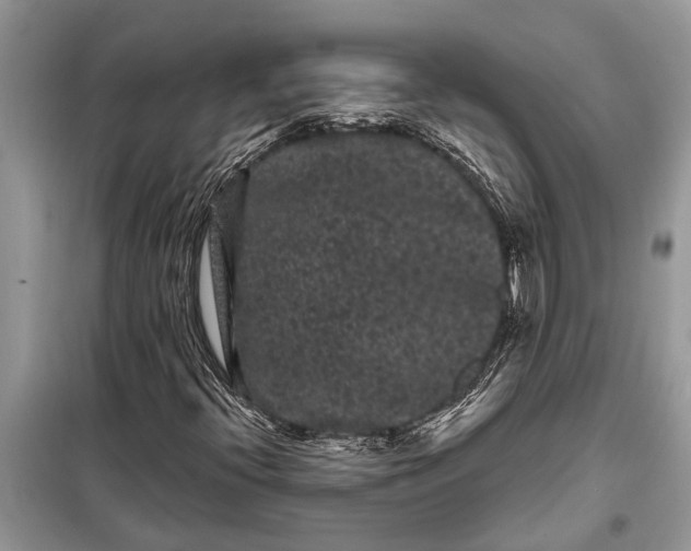 X0000097951396200804070953