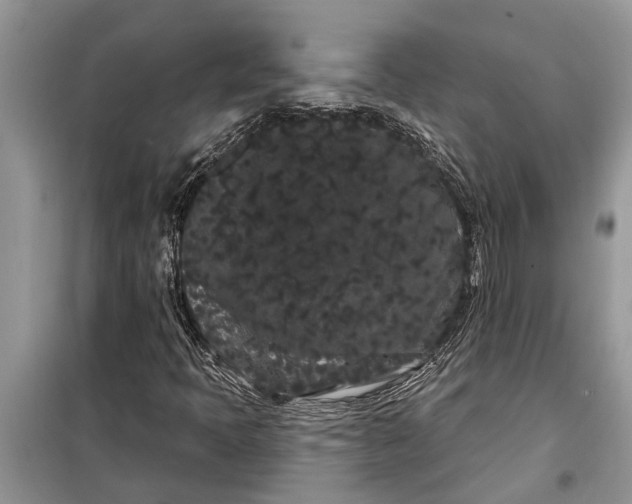 X0000097951397200804070953