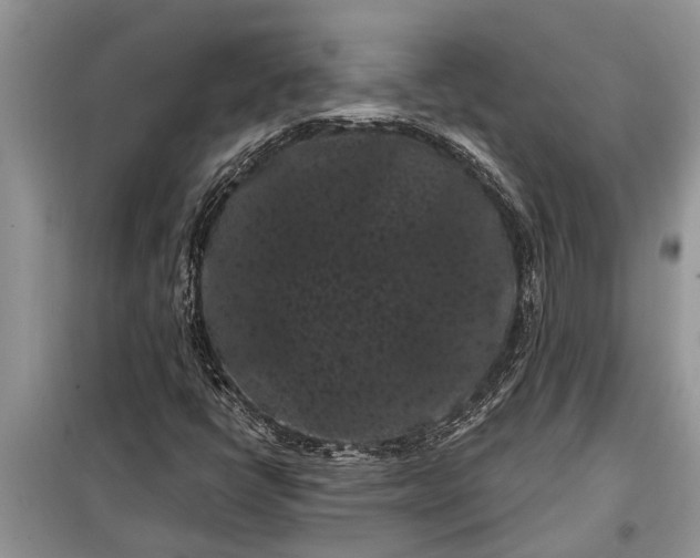 X0000097951398200804070953