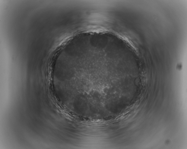 X0000097951399200804070953