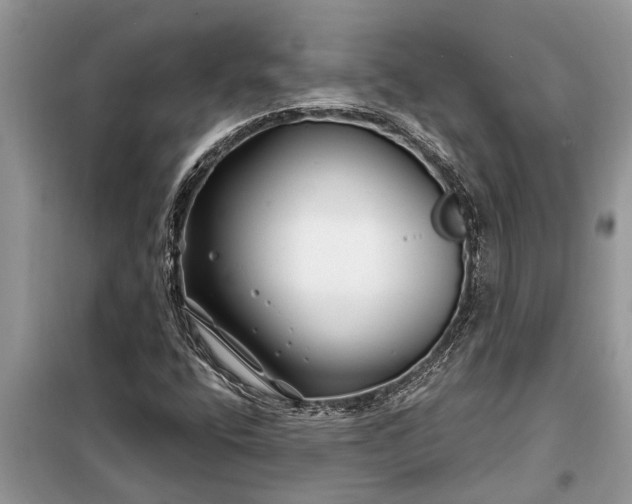 X0000097951400200804070953