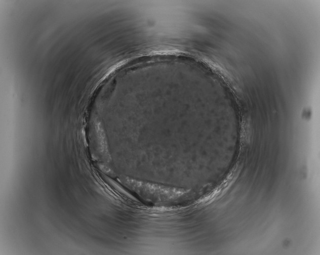 X0000097951401200804070953