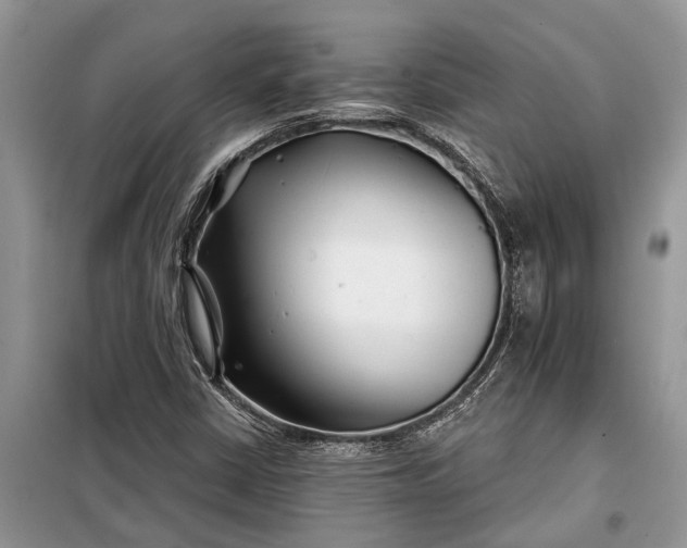X0000097951402200804070953