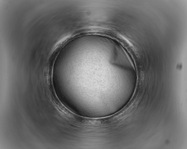 X0000097951403200804070953